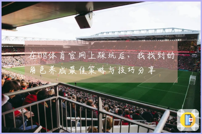 在ng体育官网上踩坑后，我找到的角色养成最佳策略与技巧分享